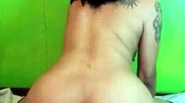 Compilația Rebecca Sexy Velfies 9