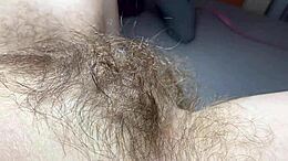 Nahaufnahme einer behaarten Muschi mit großen Lippen und einer großen Klitoris