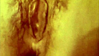 Hairy bush and deep throat combo in retro porn