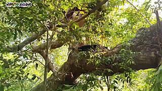 One on one action with big boobed girls and ass licking in hardcore anal scenes