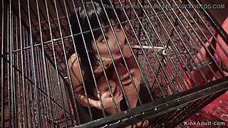 La schiava asiatica piccola si fa sbattere l'anale con strap-on così forte... non ce la faccio!