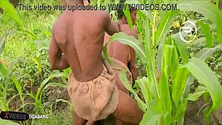 Amaka，你这个村骚货，想在Okoro农场快速吹箫吗？