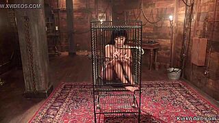 娇小18+亚洲女同性恋在狂野女同支配中肛门被操