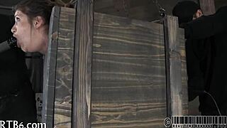 rough fucking and intense pounding in porn