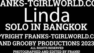 Sweet Linda from Frankstgirlworld Hides a Surprise