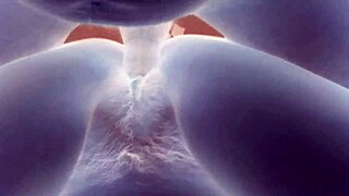 Je belo ali črno v tem videu?