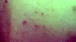 Man, going from mouth to ass with this blonde is wild!