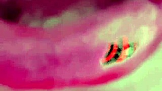 Fulfill My Desires and Wishes!