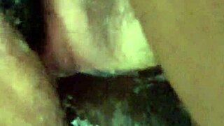 Chubby model in a casual photoshoot