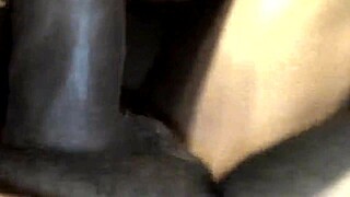 Ebony amateur deepthroats big black cock in hospital