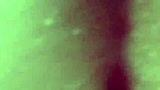 lucy amanita pov experience