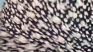 Teen 18+ Dances on Webcam