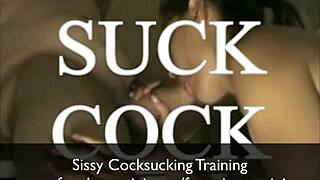 So, You Wanna Learn Sissy Cock Sucking Skills Like This? Let’s Chat About It!