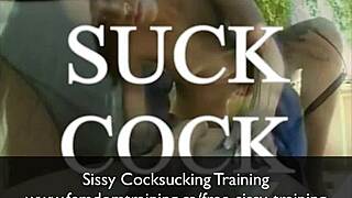 So, You Wanna Learn Sissy Cock Sucking Skills Like This? Let’s Chat About It!