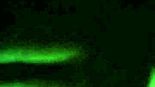 Chocolate Backshots Delight