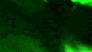 Chocolate Backshots Delight