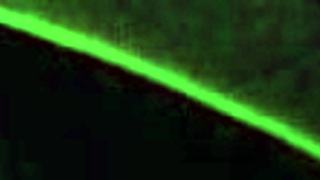 Britney Madison Blacklight Sex Left