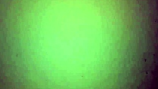 Colombian Latina Milf Spreading Huge Ass