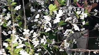 I met a stranger at the park and brought her home for some hot lesbian fun