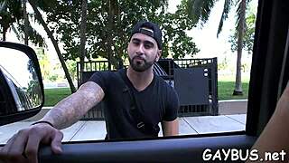 Free cum during wild gay blowjob contest