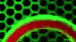 watch jelena jensen eat mindis pussy with licking and fingering