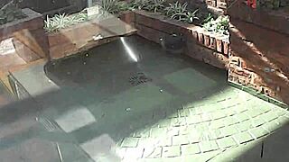 Outdoor milf pissing in the open