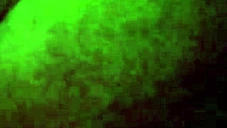 20160102 130406 involves creampie swingers group fun