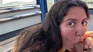 Hey, can you believe this beauty sucking cock on a ferris wheel at the park?