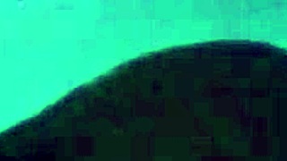 steamy outdoor shower with cosplay anal by briana moon