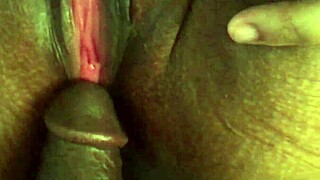 amazing bbc strokes in missionary with ebony couple