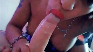 Transgender Compilation Showcases Intense Tgirl And Shemale Crossdressing.