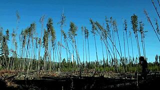 I’m so exposed, touching myself naked in the forest