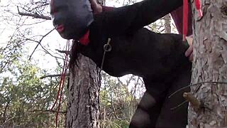 you're tied up to a tree outdoors in sexy stockings, getting rough fucked by amateurs.