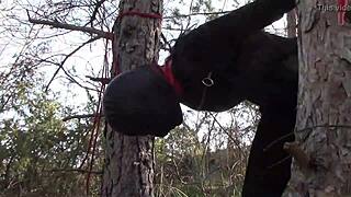 you're tied up to a tree outdoors in sexy stockings, getting rough fucked by amateurs.