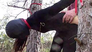 you're tied up to a tree outdoors in sexy stockings, getting rough fucked by amateurs.