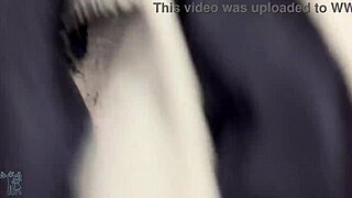 duas safadas mostrando habilidades com os pés?