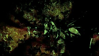 Vintage Swinging Sixties London Group Scene