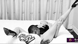 busty blonde cougar dani dare getting power fucked by bbc at home