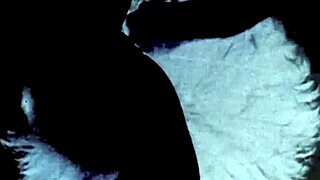 i luv vintage hairy pussy