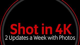 quinn says 'i'm horny from dick pics'