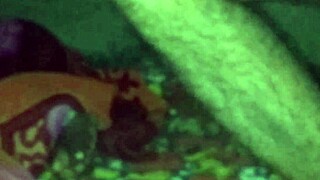 उठाकर सोई हुई भाभी को चोदा 😏