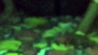 उठाकर सोई हुई भाभी को चोदा 😏