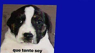 Meine Succubus-Mutter verführt mich wild in Hentai Anime