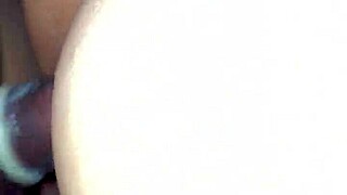 esposa compartida con desconocido en bar swinger group fun