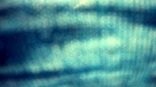 Wife flashing curves in transparent leggings at the grocery store