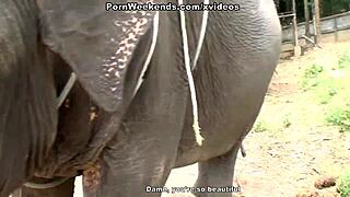 Blowjob as a punishment?