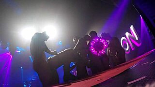I joined porn stars for wild orgy at night club