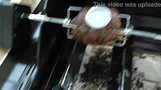 Kiwi milf slut gets temperature probe up ass after master checks meat