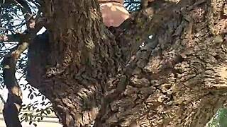 Amateurs pissent d'un arbre à Gral Paz