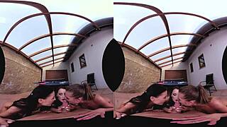 three amazing czech pussies in table tennis doggystyle